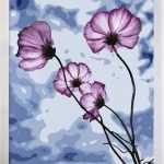 polne kwiaty od akrylowo.pl, malowanie po numerach