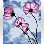 polne kwiaty od akrylowo.pl, malowanie po numerach