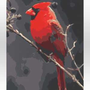 Czerwony ptak od akrylowo.pl, malowanie po numerach
