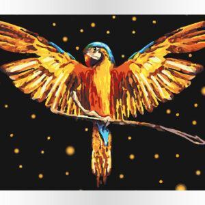 Gwiezdna papuga od akrylowo, polskie najwyższej jakości malowanie po numerach