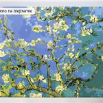 Vincent van Gogh fantastyczne obrazy malowane numerami ze sklepu akrylowo, tanio, dla początkujących i dzieci, dla dorosłych