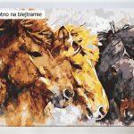 Trzy konie fantastyczne obrazy malowane numerami ze sklepu akrylowo, tanio, dla początkujących i dzieci, dla dorosłych