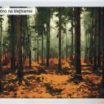 Deszczowy las, akrylowo.pl sklep z obrazami do malowania po numerach, reprodukcjami wielkich artystów i malarzy, wzory do malowania numerami, nowości