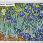 Irysy, Vincent van Gogh, świetne obrazy do malowania po numerach, wspaniałe wzory malowane numerami, sklep akrylowo.pl obrazy do samodzielnego wykonania dla dzieci i zaawansowanych