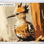 Malowanie po numerach. Sklep akrylowo. Ptaki.