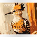 Malowanie po numerach. Sklep akrylowo. Ptaki.