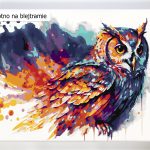 Malowanie po numerach. Sklep akrylowo. Ptak, sowa.