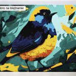 Malowanie po numerach. Sklep akrylowo. Ptaki.