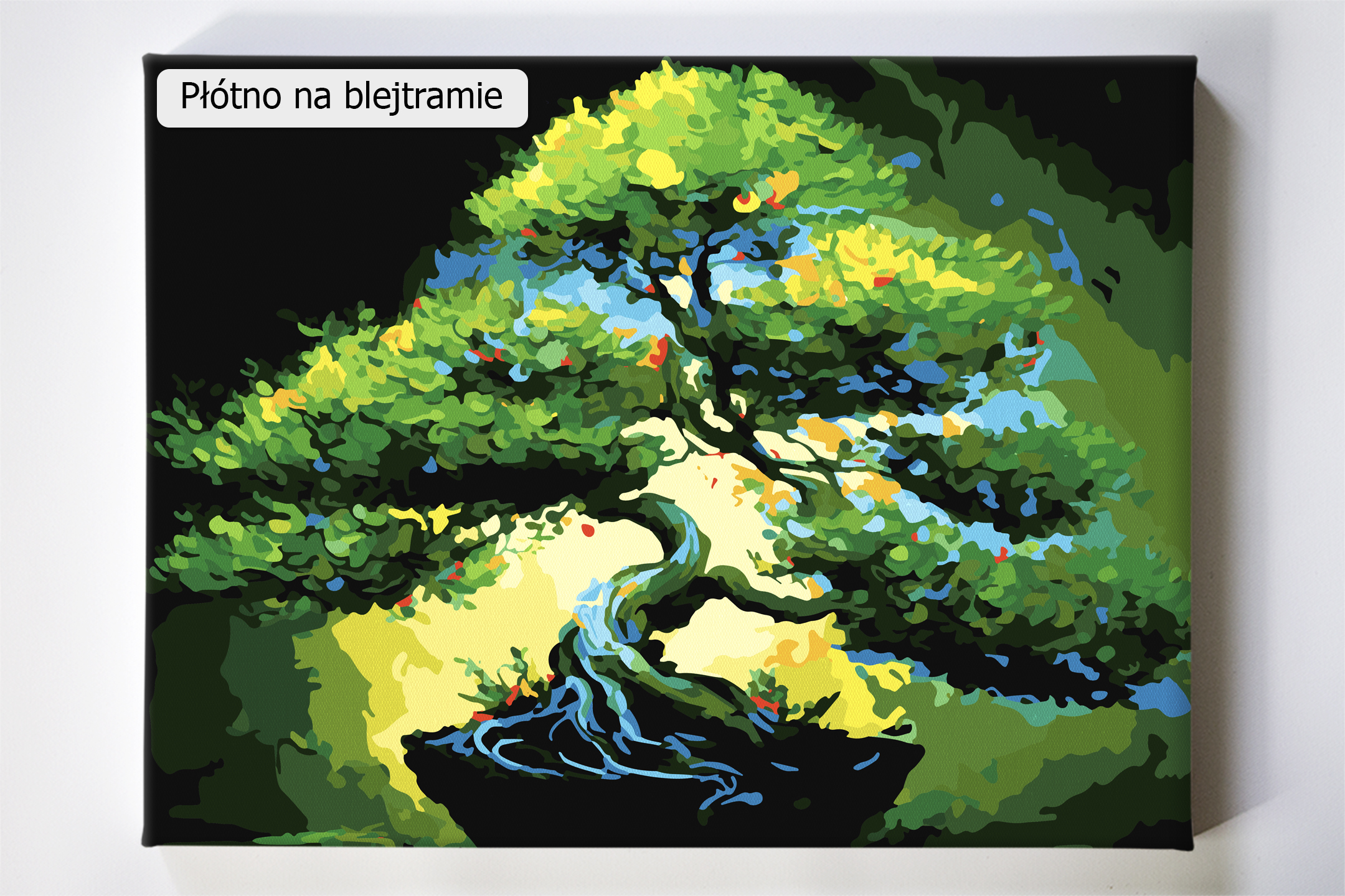 Malowanie po numerach. Drzewko bonsai.